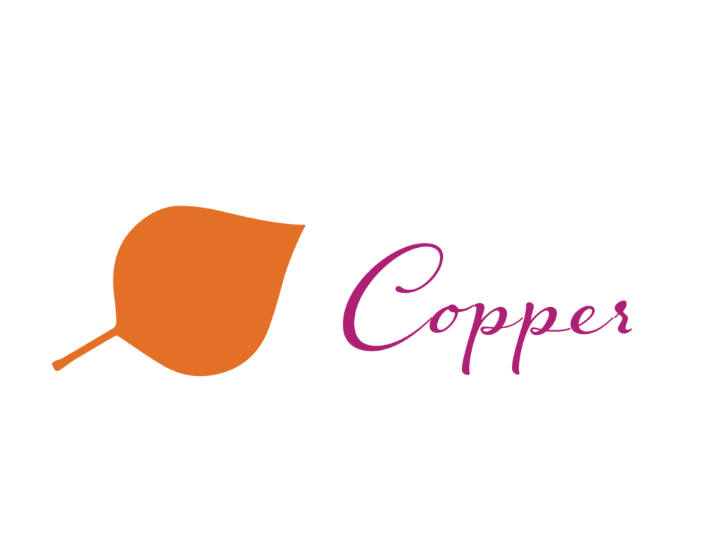 Spring Fling Copper Sponsor