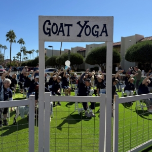 Goat Yoga at Westminster Village