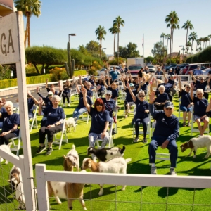 Goat Yoga at Westminster Village