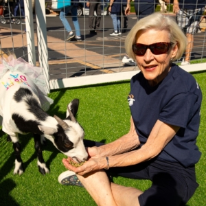 Goat Yoga at Westminster Village